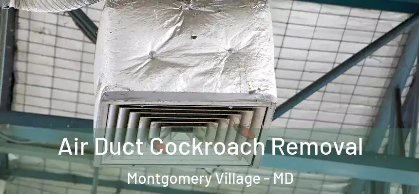 Air Duct Cockroach Removal Montgomery Village - MD