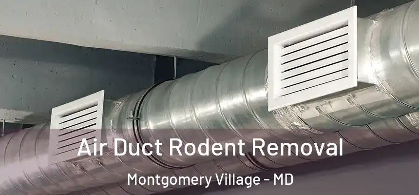  Air Duct Rodent Removal Montgomery Village - MD