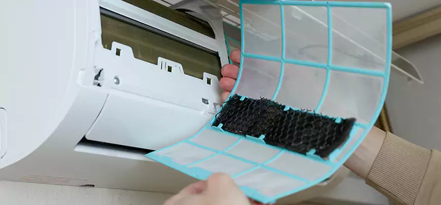 Gentle Ductwork Odor-Control Pet Dander Duct Cleaning in Montgomery Village, MD