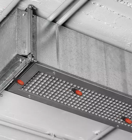 About Air Duct Cockroach Removal in Montgomery Village, MD