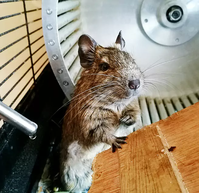 Why Homeowners & Businesses Trust Us Montgomery Village, MD